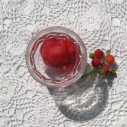 homemade raspberry sorbet