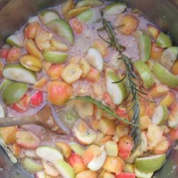 gently simmer the chopped fruit