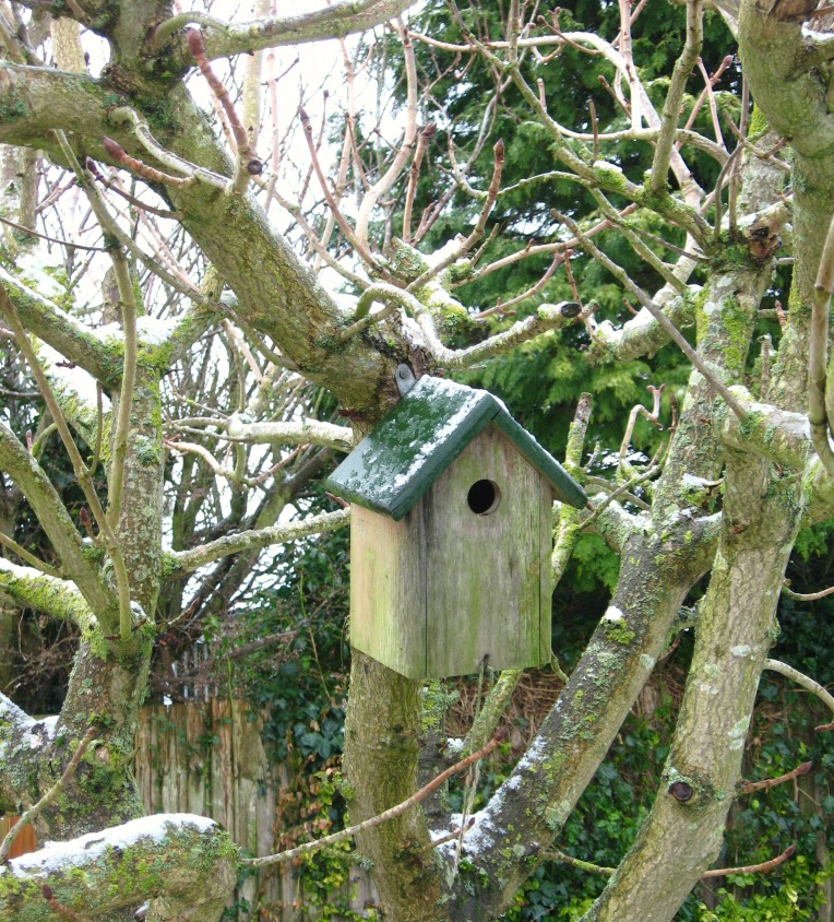 a snowy house for birds